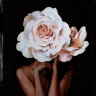 Картина Swarovski "Девушка с розой" 2344-gf