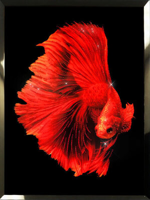 Картина Swarovski "Красная рыба" 2349-gf