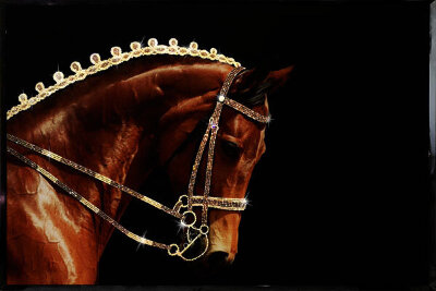 Картина Swarovski "Конь" 2348-gf