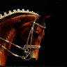 Картина Swarovski "Конь" 2348-gf