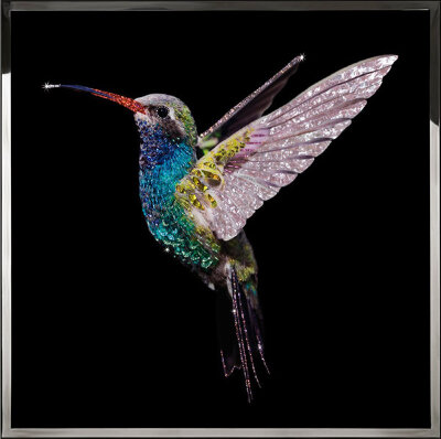 Картина Swarovski "Жемчужная колибри" kolibri-gf