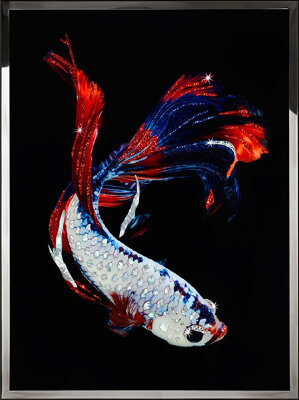 Картина Swarovski "Рыба" ryba-gf