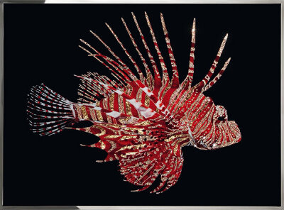 Картина Swarovski "Рубиновая рыба-зебра" ryba-zebra-gf