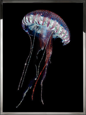 Картина Swarovski "Синяя медуза" sinyaya-meduza-gf