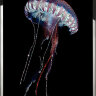 Картина Swarovski "Синяя медуза" sinyaya-meduza-gf