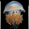Картина Swarovski "Медуза" meduza-gf