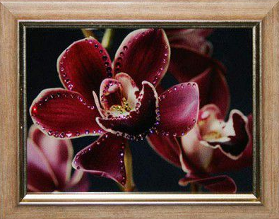Картина Swarovski "Цветок орхидеи" 1588-gf