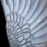 Картина Swarovski "Крылья" 2045-gf