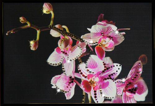 Картина Swarovski "Маленькая орхидея" M-308-gf
