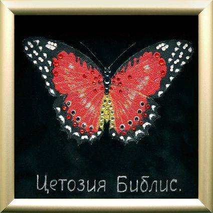 Картина Swarovski "Бабочка Библис" B-019