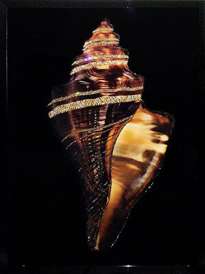 Картина Swarovski "Морская раковина 2" 2337-gf