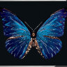 Картина Swarovski "Синяя бабочка" sinyaya-babochka-gf